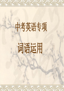 中考英语专项讲解词语运用精讲