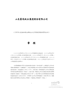 晨鸣纸业公司章程(XXXX年5月)