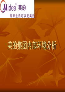 美的集团内部环境分析