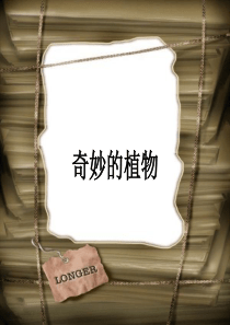 奇妙的植物
