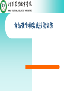 微生物划线分离