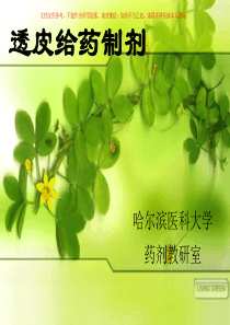 药剂学经皮吸收制剂课件