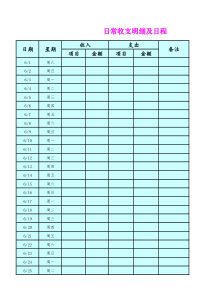 个人日常收入支出记录明细表