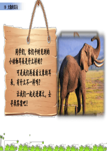 部编版语文二年级下册第七单元《大象的耳朵》优质课件