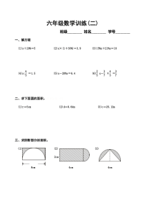2六年级数学训练专项练习24份人教版数学六年级下册试题