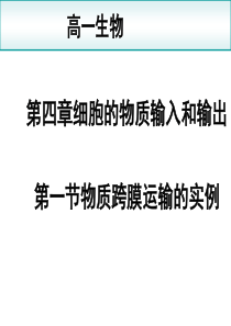 60生物：4.1《物质跨膜运输的实例》课件(新人教版必修1)