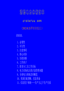 徐新桥透视电力体改