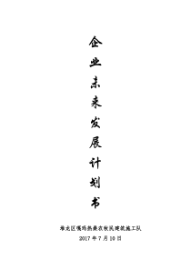 企业未来发展计划(建筑业)