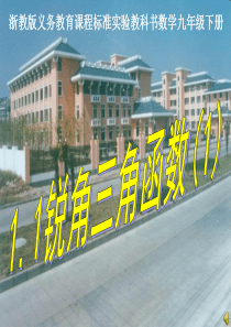浙教版九年级下数学1.1_锐角三角函数(1)课件
