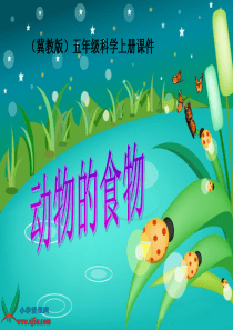 5《动物的食物》课件