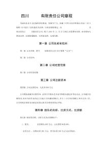 某有限责任公司章程