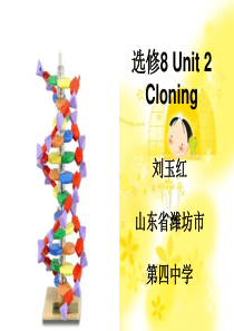 英语 Unit2reading (新人教版 选修8 )