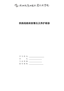 毕业设计----铁路线路病害整治及养护维修