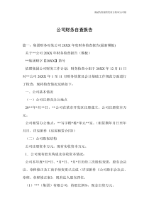 公司财务自查报告