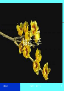 人教版音乐八下梅花三弄ppt课件人教版初中音乐教学资源
