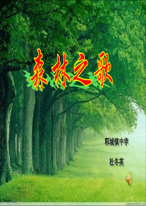 人教版音乐八下森林之歌ppt课件1人教版初中音乐教学资源