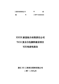 二氧化钛复合白色颜料建设新建设项目可行性研究报告(1)