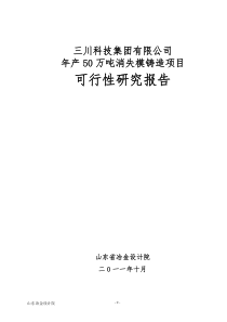 年产32万吨消失模铸造项目可行性研究报告(149页甲级资质设计院编制极品推荐!!!)(1)