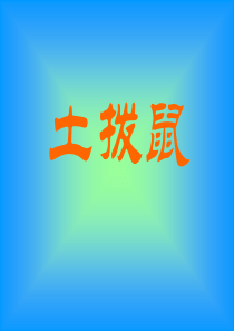 苏教小学音乐六下3土拔鼠PPT课件1音乐教学资源