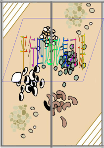 平行四边形复习课件(市级公开课).ppt