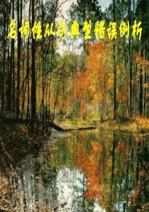 09年高考英语名词性从句3高三英语课件