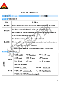 SectionB第4课时2a2e教案初中英语人教版九年级下册教学资源1