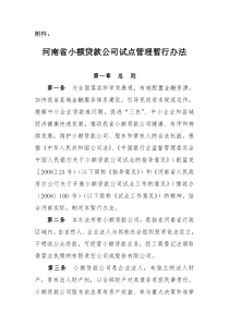 河南省小额贷款公司试点管理暂行办法
