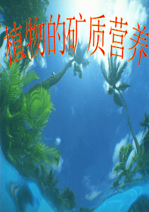 2009级植物的矿质营养复习(lu)