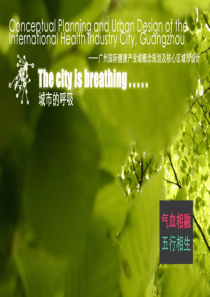广州国际健康产业城概念规划及核心区城市设计