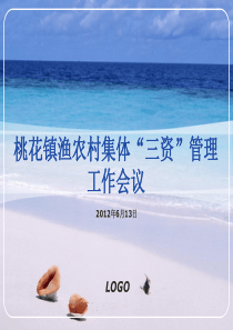 桃花镇渔农村集体“三资”管理工作培训材料