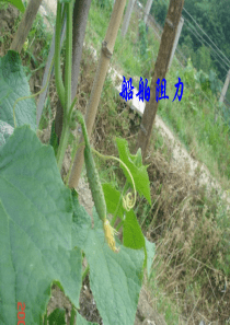 第07章-阻力近似估算方法