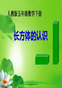最新人教版五年级数学下册《长方体的认识》