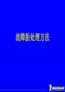 米其林轮胎鉴定培训资料