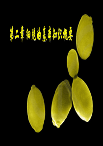 第二章-细胞的基本知识概要