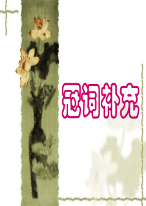 高考英语冠词补充用法高三英语课件