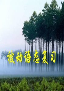 高考英语被动语态复习高三英语课件