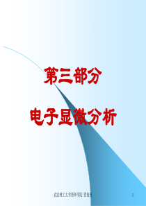 4电子显微镜(3)