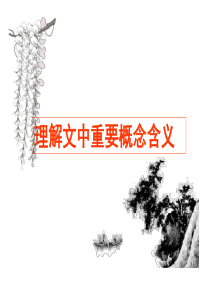 理解文中重要概念的含义