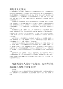 海边常见的藻类