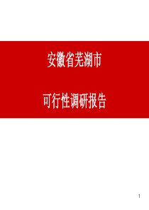 安徽省芜湖市商业中心项目可行性调研报告_53p_前期策划