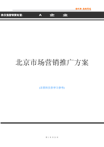 徐汉强：A品牌北京市场营销推广方案
