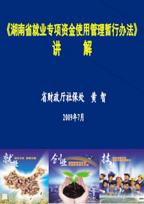 湖南省就业专项资金使用管理暂行办法讲