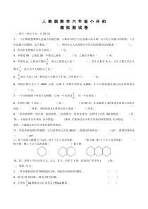 人教版六年级下学期数学小升初测试题及答案