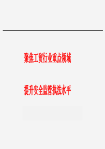 2017年工贸行业重点领域安全监管执法培训讲义