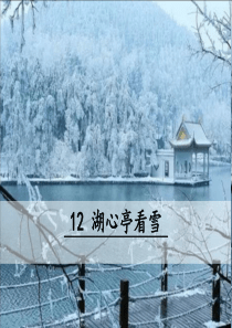 12湖心亭看雪部编版九年级上册语文教学资源
