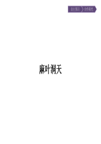 2017年春高中语文人教版选修中国文化经典研读课件882麻叶洞天
