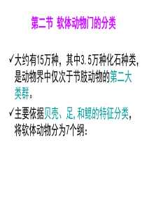 动物学-9-3软体动物分类