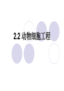 动物细胞工程课件(上课用)
