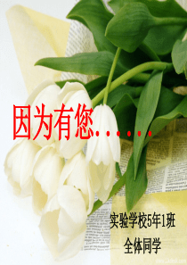 教师节主题班会__幻灯片___绝对经典___绝对23456789