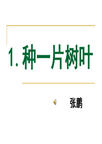 七年级下课外阅读精华之1：种一片树叶